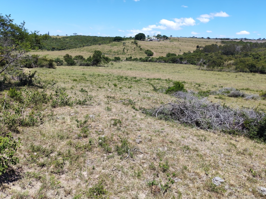 3 Bedroom Property for Sale in Komga Rural Eastern Cape